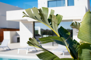 estate-image