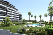 estate-image
